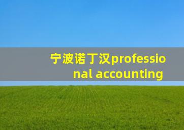 宁波诺丁汉professional accounting